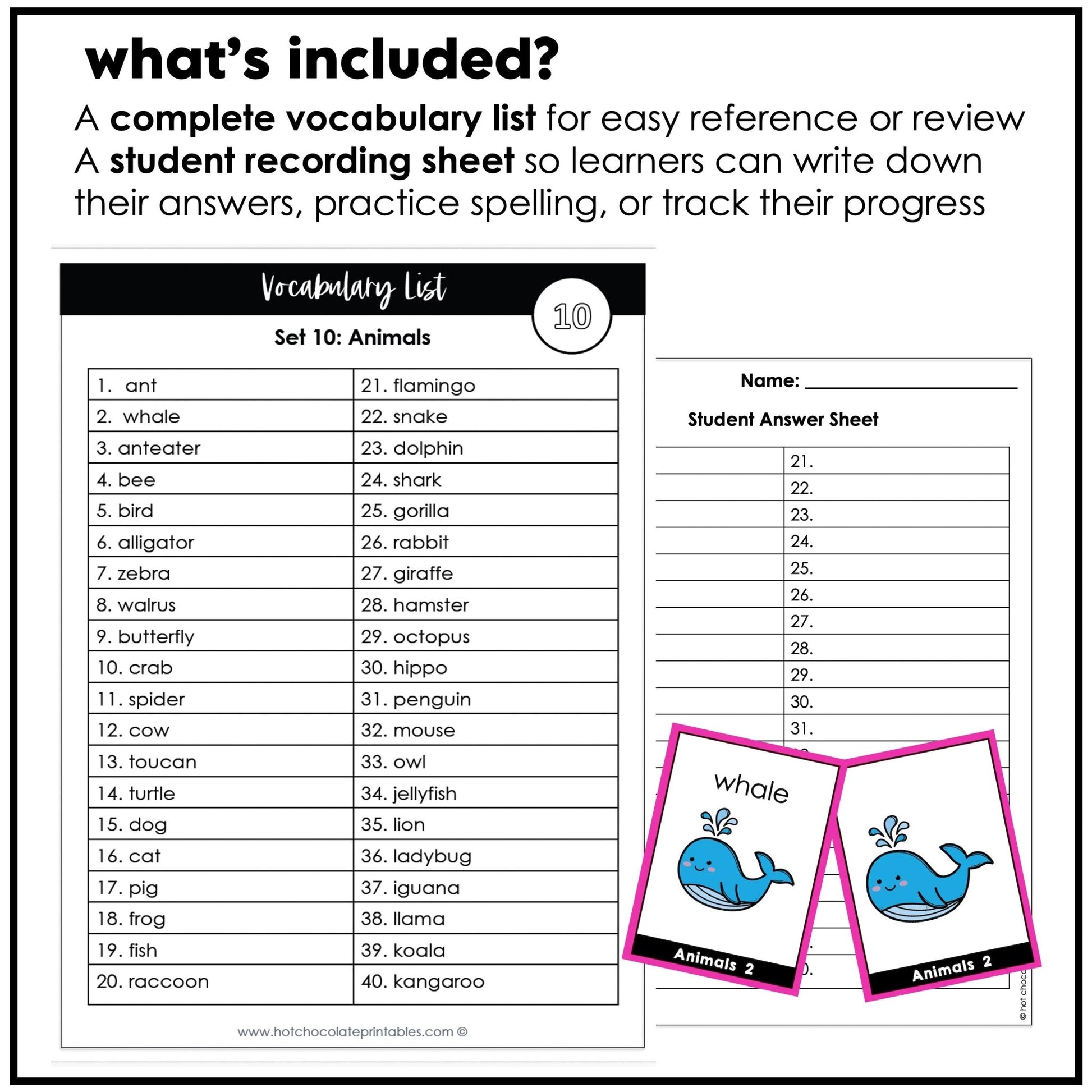 Animal Vocabulary Flash cards | ESL Task Cards - Zoo, Pets, Insects, Marine - Hot Chocolate Teachables
