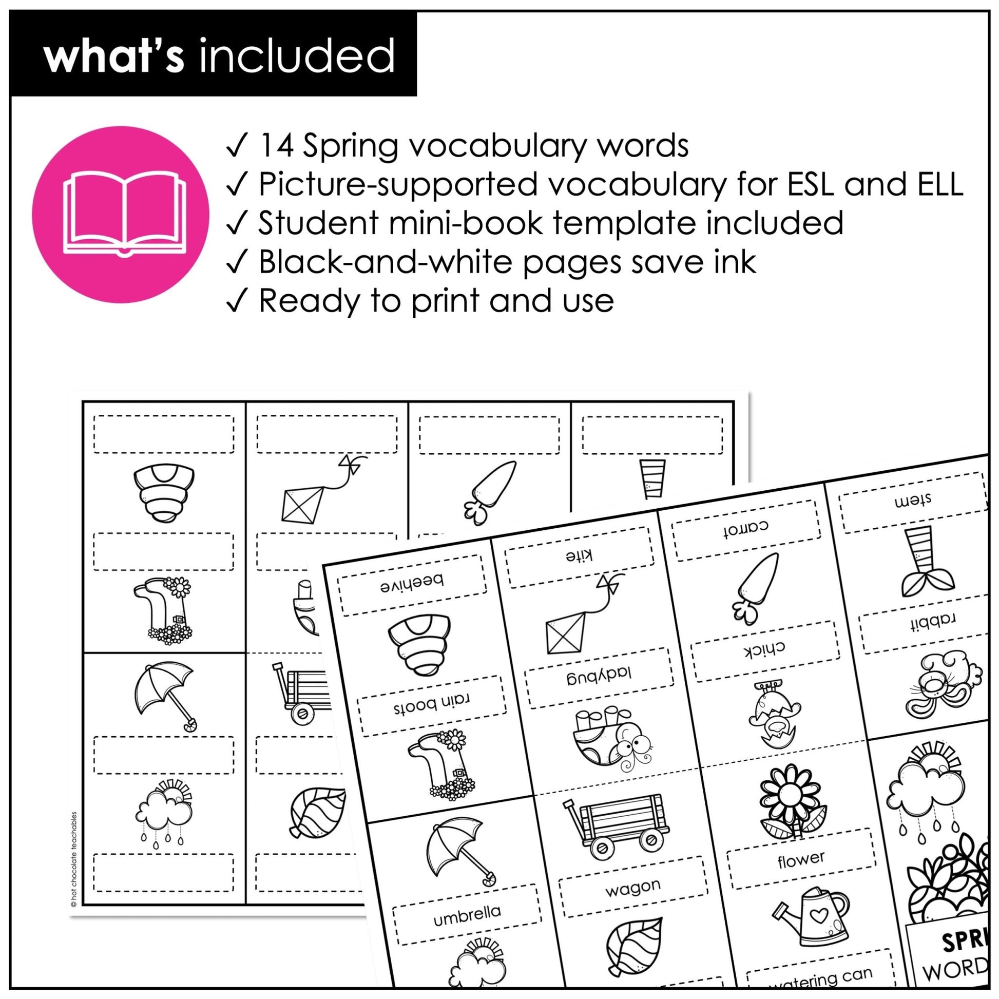 Spring Vocabulary Word Mini Book | ESL Picture Dictionary Activity - Hot Chocolate Teachables